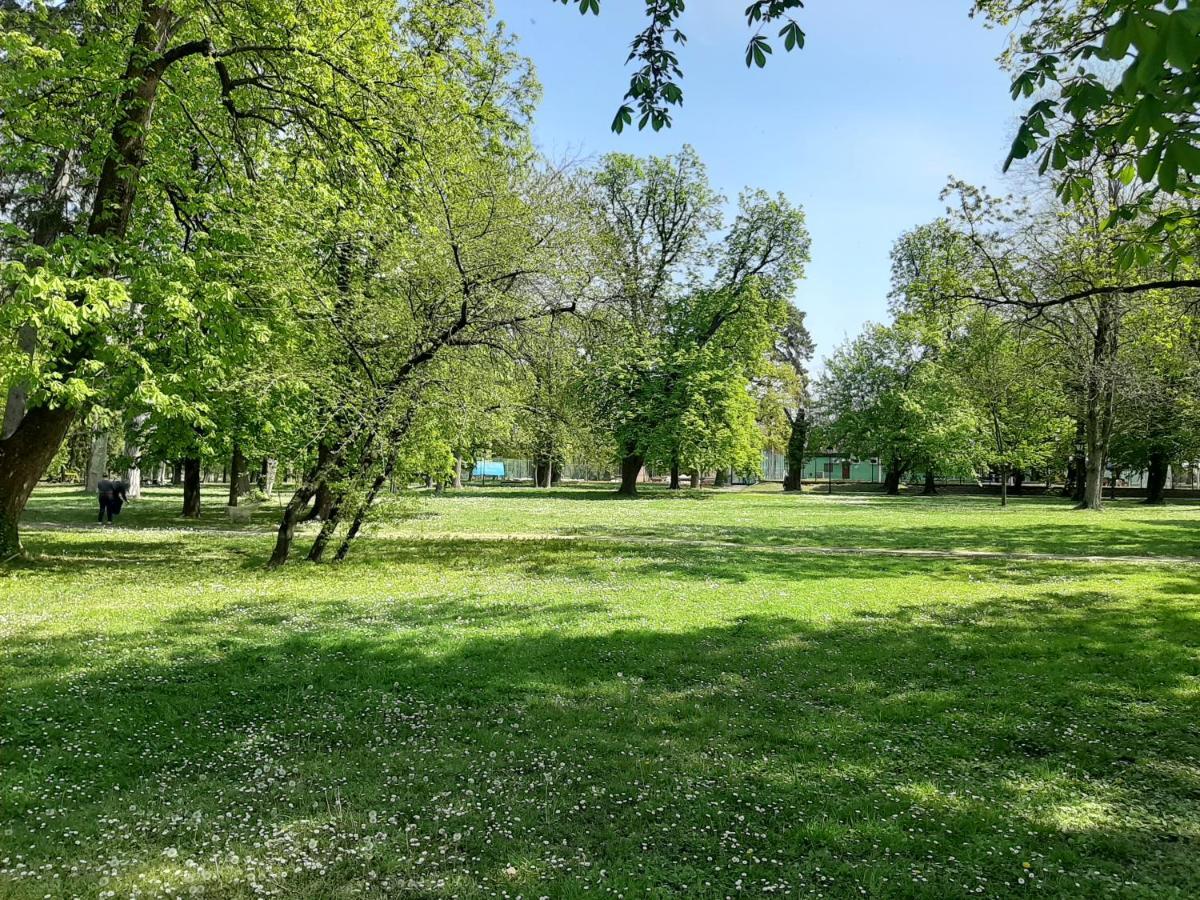 Apartman Kod Kestena Ossero Esterno foto